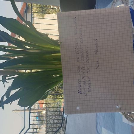 Apartment Goran Novi Vinodolski Buitenkant foto